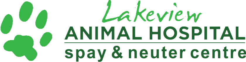 Lakeview Animal Hospital - Orchards Vets