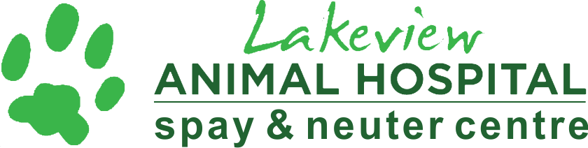 Lakeview Animal Hospital - Orchards Vets