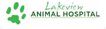 Lakeview Animal Hospital